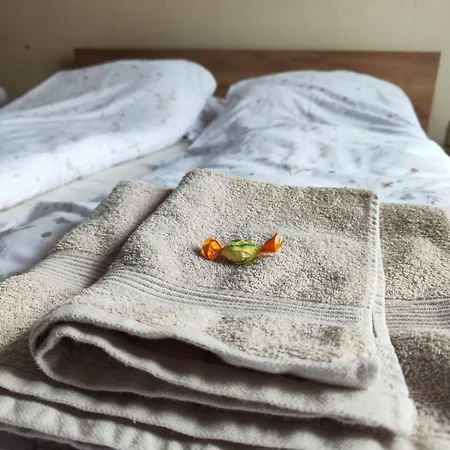 Orange Couch Apartmán *